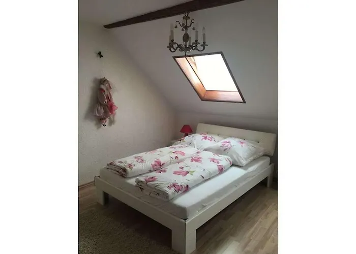 With 2 Bedrooms Sarreguemines